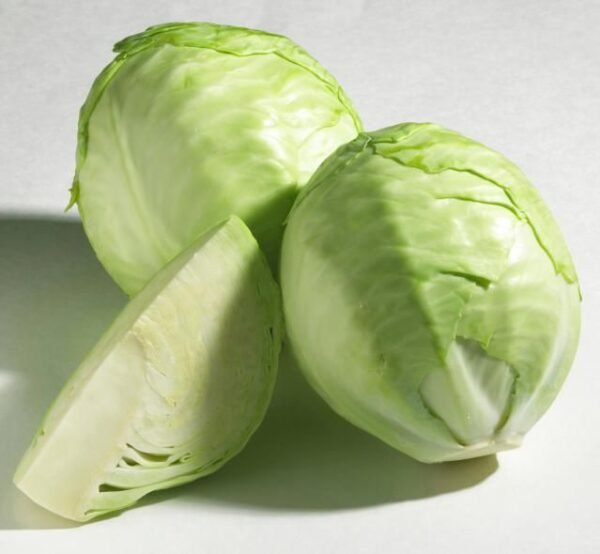 Cabbage